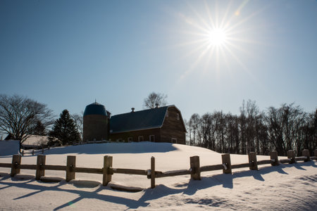 Winter Scenery