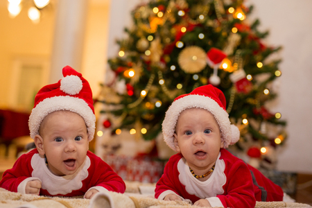 Cute baby siblings in front of a christmas tree looking at the cameraの写真素材