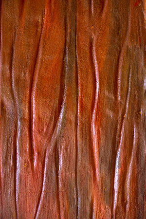 surfaceの写真素材