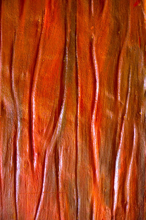 Wood, concrete surfaceの写真素材