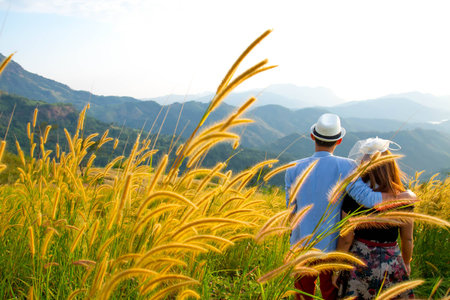 mountain tvee sky blue viewsの写真素材