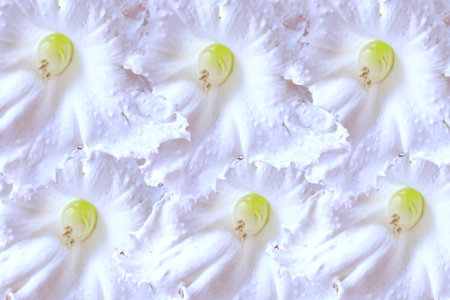 texturesの写真素材