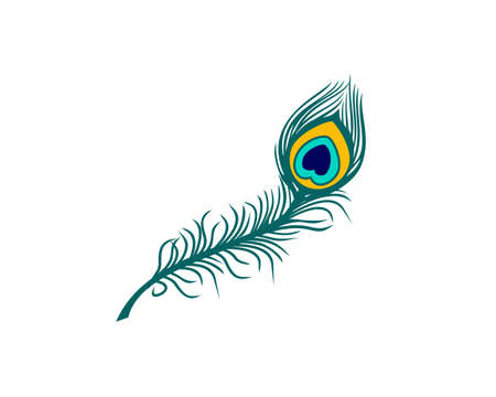 peacock feather color vector illustrationのイラスト素材