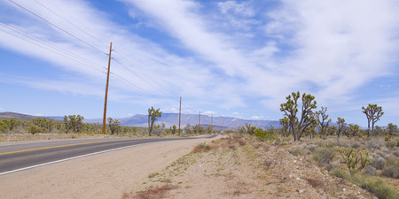 Very dry and arid view of the Joshua tree forest in the Mohave desert in Arizonaの写真素材