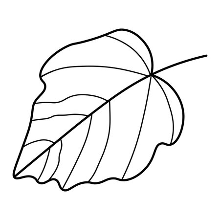 Leaf icon. Outline illustration of leaf vector icon for webのイラスト素材