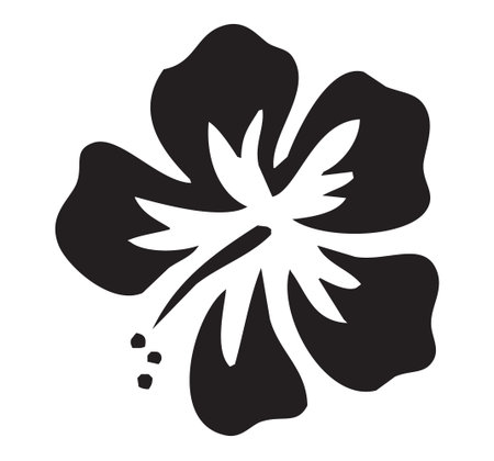 Hibiscus flower icon. Simple illustration of hibiscus flower vector icon for webの写真素材