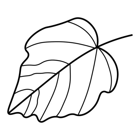 Leaf icon. Outline illustration of leaf vector icon for webの写真素材
