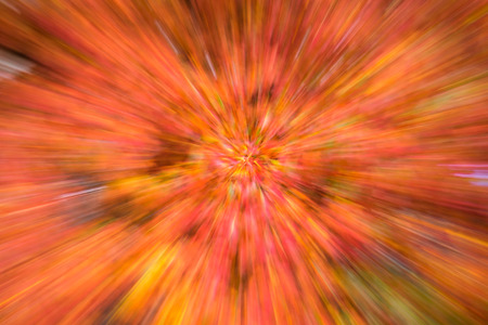 Fall color, abstract leaf zoom blur effectの写真素材