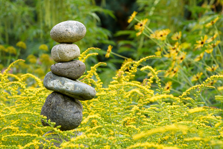 Serene setting of rocks, yellow flowers, and green foliageの写真素材