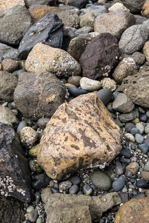Vertical close up of a rocky beach, multicolored rocksの写真素材