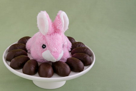 Pink stuffed Easter bunny on a white cake plate with chocolate covered marshmallow eggsの写真素材