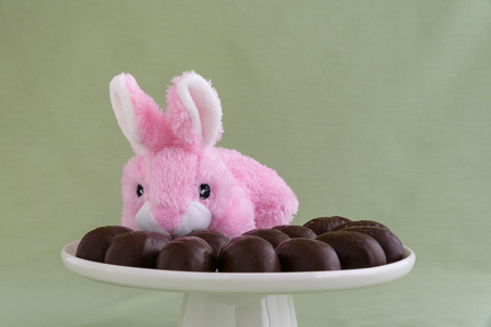 Pink stuffed Easter bunny on a white cake plate with chocolate covered marshmallow eggsの写真素材