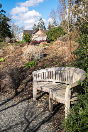 Wood bench and waking path in a gardenの写真素材