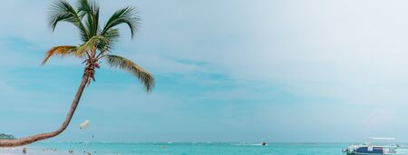Dominican Republic tropical beach resort. Seashore. Palm tree. Bannerの写真素材