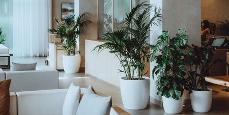 Tropical interior with palm trees, natural materials, beige tonesの写真素材