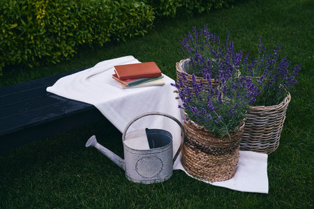 books are lying on a bench in the garden next to lavender and a watering can. Country lifeの写真素材