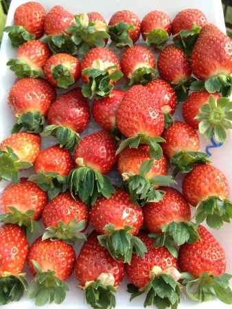 Strawberriesの素材