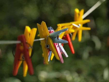 Colourful clothespins on a clothesline outsideの写真素材