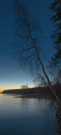 Dead Tree in frozen Lake at sunsetの写真素材