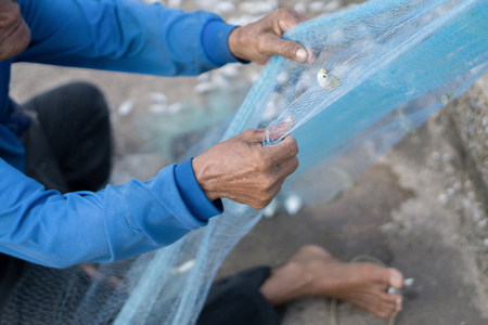 Old Fishermen clearing fisherman net , a lot of small fishの写真素材