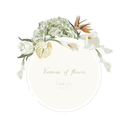 Orchids floral bouquet . Flourish greeting card and circle label .のイラスト素材