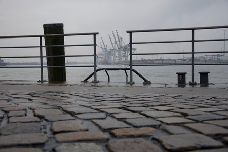 Hamburg Harbour, Fish Marketの写真素材
