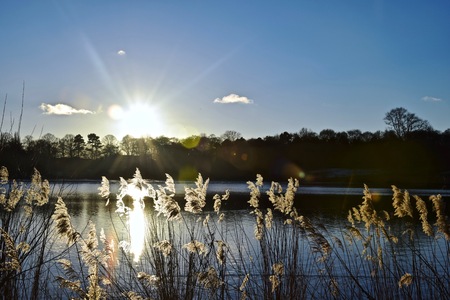 Sunset by the lakeの写真素材