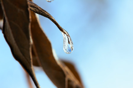 Frozen water drop on a leaf. Winter, spring background.の写真素材