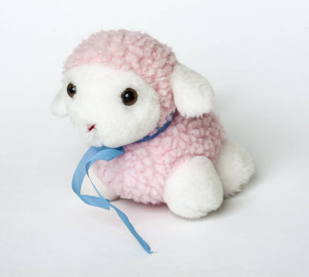 Stuffed animal on a white backgroundの写真素材