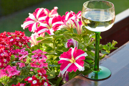 Wine glass with beautiful flowersの写真素材