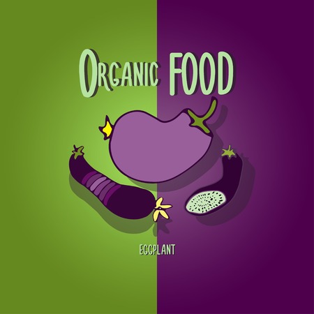 Organic food. Eggplant.のイラスト素材