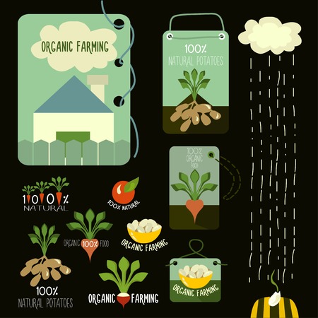 Set of organic and farm fresh food badges and labelsのイラスト素材