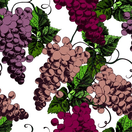Beautiful pattren with grapesのイラスト素材
