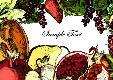 Fruits. Card. Freehand drawing.のイラスト素材