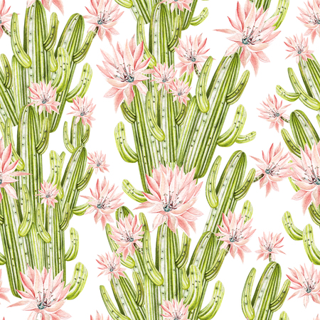 Watercolor pattern with cactus . Illustrationの写真素材