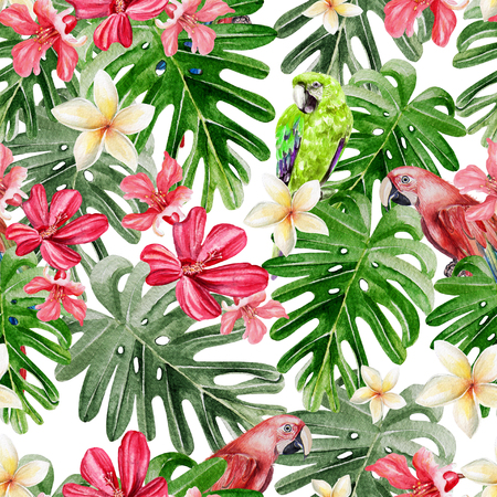 Beautiful bright watercolor pattern with tropical leaves and flowers Plumeria, Hibiscus and Parrot. Illustrationの写真素材
