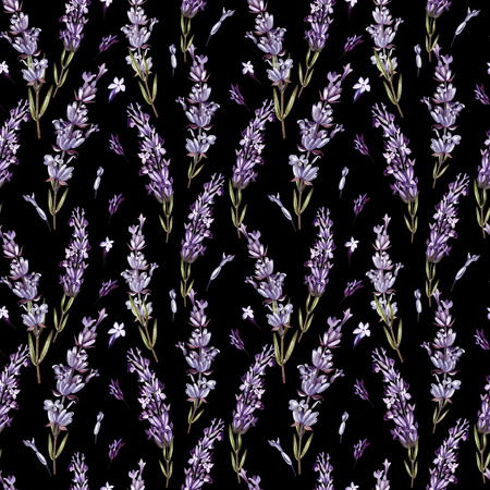 Watercolor pattern with Lavender. Hand painting. Watercolor. Illustrationの写真素材