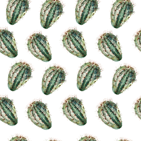 Beautiful Watercolor pattern with cactus. Illustrationの写真素材