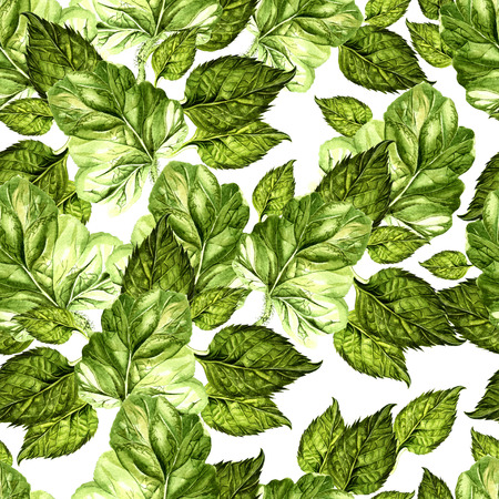 Bright watercolor seamless pattern with juicy green leaves. Illustrationの写真素材