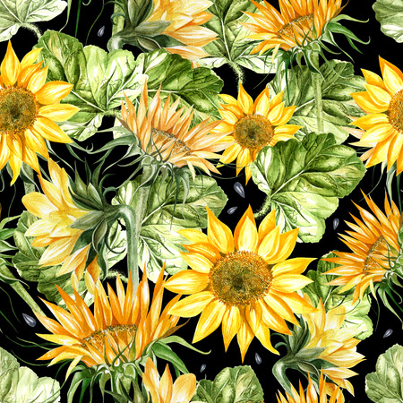 Beautiful watercolor seamless pattern with sunflower and leaves. Illustrationの写真素材