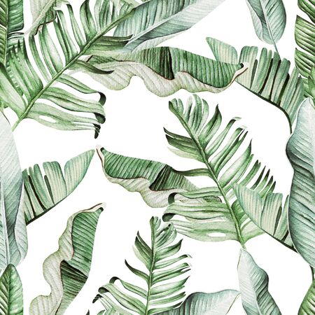 Beautiful watercolor seamless pattern with tropical leaves and banana leaves. Illustrationの写真素材