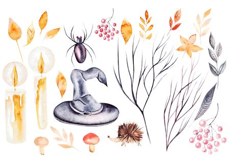 Halloween party, set of colorful leaves, berries, 
different elements, autumn watercolor illustration.の写真素材