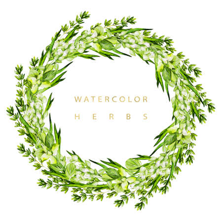 Watercolor wreath with herbs and microgreen. Illustrationの写真素材