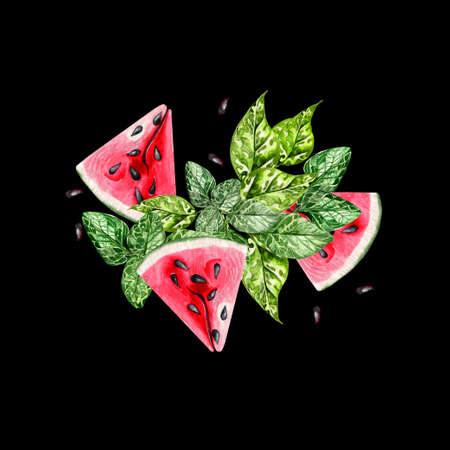 Summer watercolor card with tropical leaves, slices of watermelon and green leaves.Illustrationの写真素材