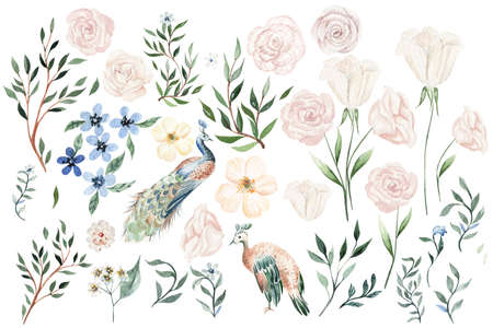 Watercolor set with different flowers and leaves. Illustrationの写真素材