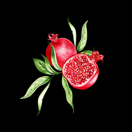 Watercolor pomegranate  fruits on black background. Illustrationの写真素材