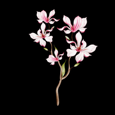 Watercolor wedding magnolia bouquet. Illustrationの写真素材