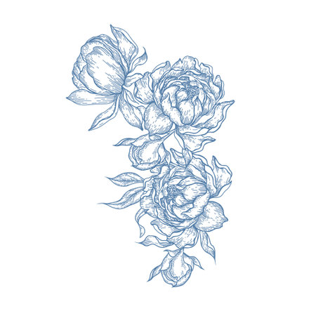 Graphic bouquet with peony and leaves. Illustrationのイラスト素材