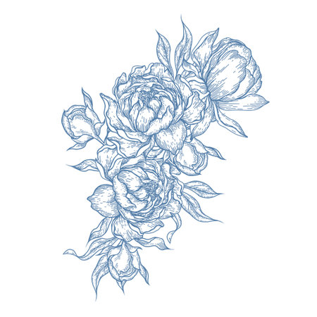 Graphic bouquet with peony and leaves. Illustrationのイラスト素材