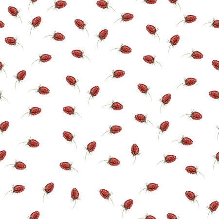 Watercolor seamless pattern with strawberries. Illustrationの写真素材